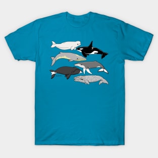 Whales of Alaska T-Shirt